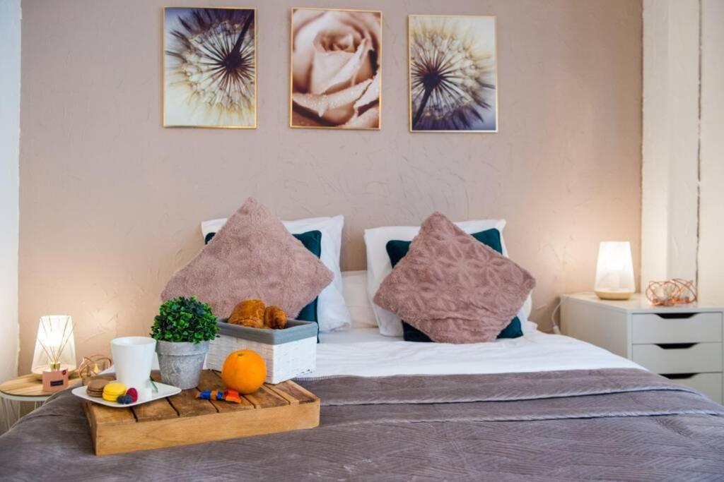 Studio Le Camaieu Tout Confort, Metz Gare Διαμέρισμα Εξωτερικό φωτογραφία
